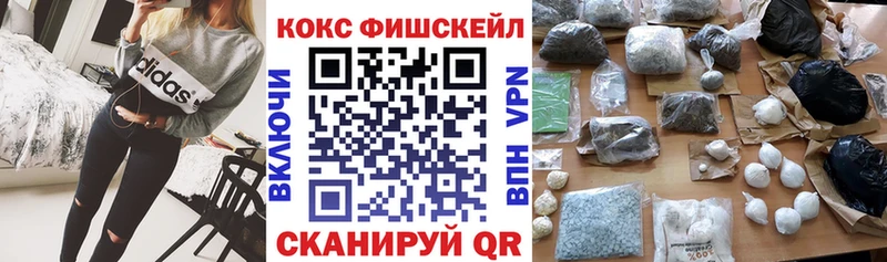 Cocaine FishScale  продажа наркотиков  Облучье 