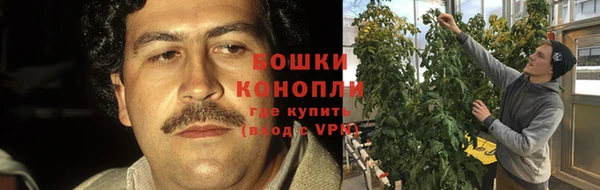 хмурый Богданович