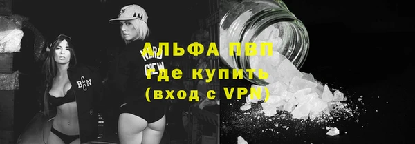 spice Богородицк