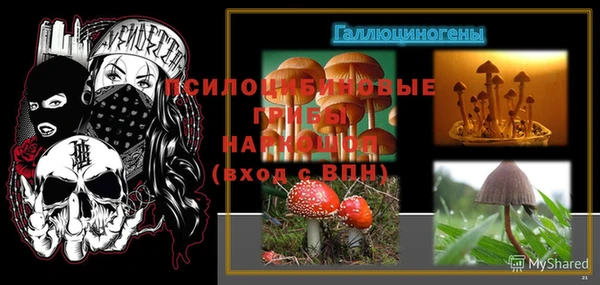 гидропоника Белоозёрский