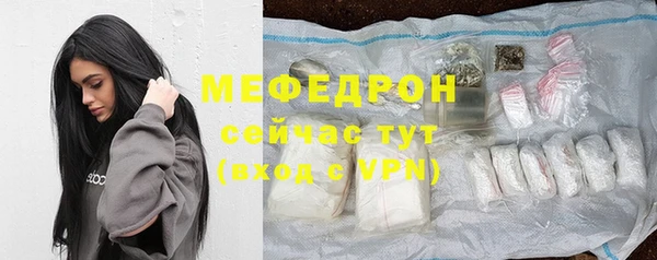 spice Богородицк