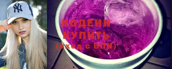 spice Богородицк