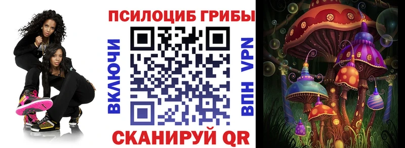 Псилоцибиновые грибы прущие грибы  Облучье 